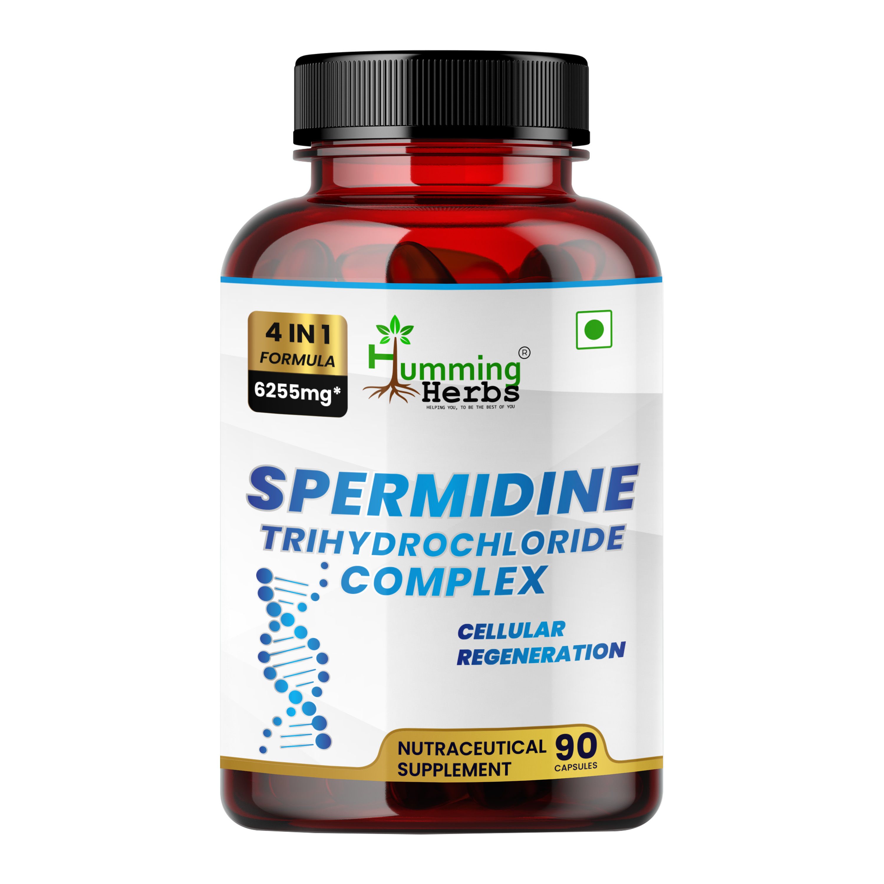 Spermidine Trihydrochloride Capsules